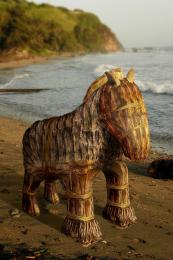 Lil Trojan Horse